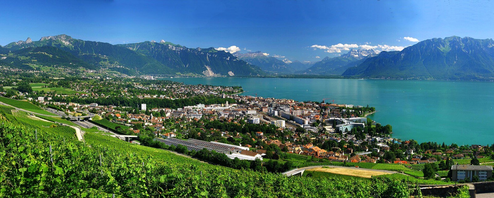 Vevey with Lake Geneva and the Alps
